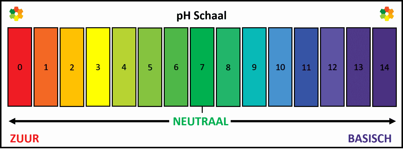 What is pH? - Nieuwkoop BV