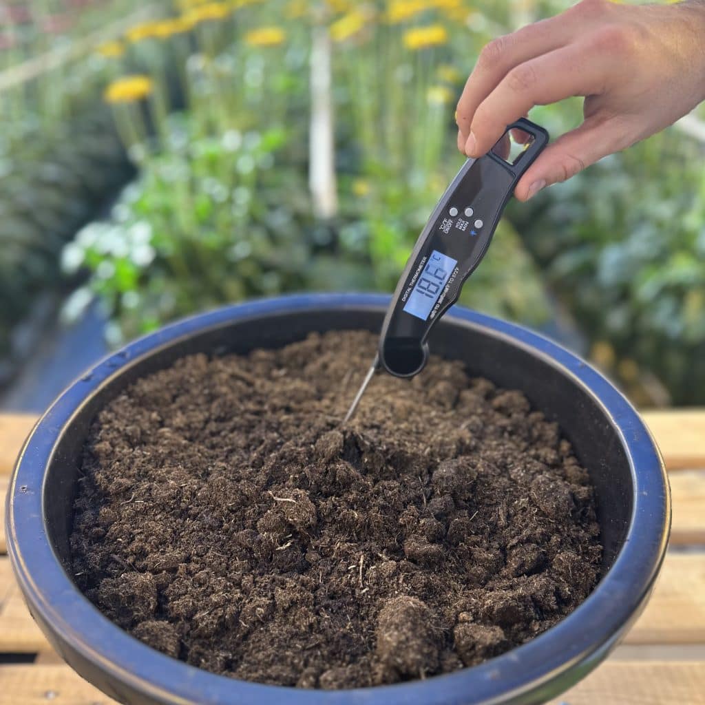 Digital insertion thermometer folding model