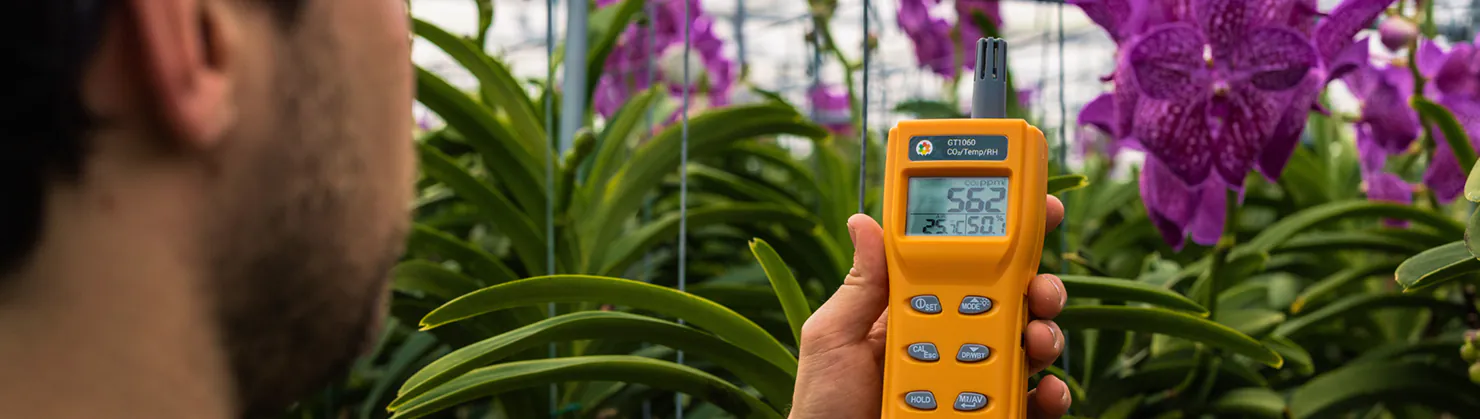 Man meet CO₂-niveau met een oranje meetapparaat tussen paarse orchideeën in een kas in Nieuwkoop.